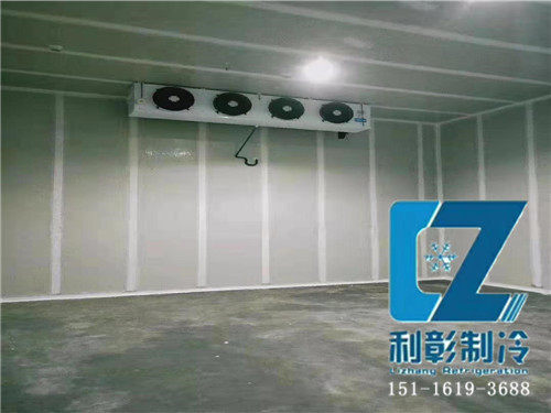湖南湘西气调冷库1