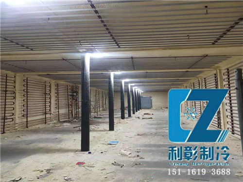 湖南天壹生物科技冷库1