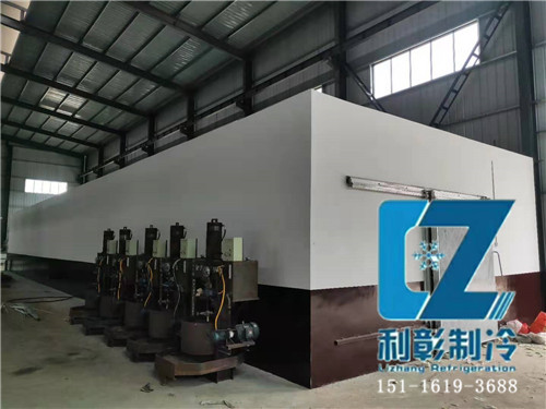 湖南天壹生物科技冷库3