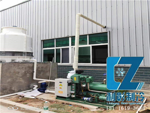 湖南佩达生物科技冷冻库2