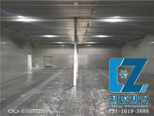 湖南佩达生物科技冷冻库3
