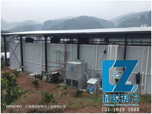 新宁吉呈果业气调保鲜冷库(4)