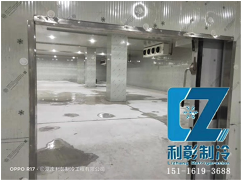 湘潭岳塘国际保鲜冷库1