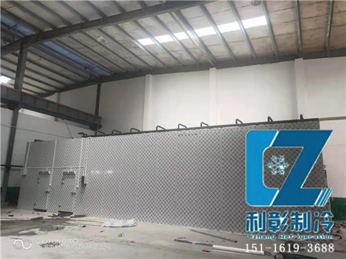 湖南佩达生物科技冷冻库1